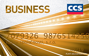 CCS Business